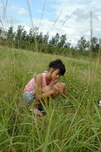 Himeka Takii (滝井姫花)