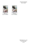 Honoka Ayukawa (鮎川穂乃果)